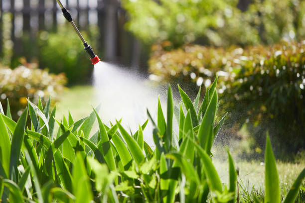 24/7 Emergency Mosquito Control experts in Byers, CO